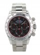 rolex-cosmograph-daytona-116509