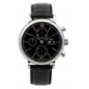  Portofino Chronograph IW391008