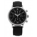  Portofino Chronographe IW391008