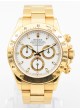 Rolex Daytona 116528