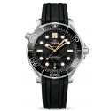  Seamaster 21022422001004