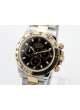 Rolex Daytona 116503