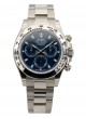 Rolex Daytona 116509