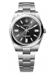  Oyster Perpetual 41 124300 124300