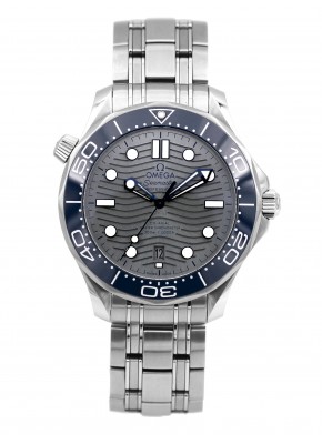  Seamaster Diver 300 21030422006001