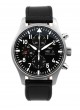 IWC Pilot 43mm IW377709