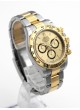 Rolex Daytona 126503