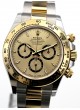 Rolex Daytona 126503