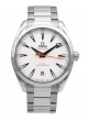 Omega Aquaterra 220.10.41.21.02.001