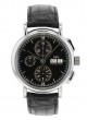  Portofino Chronograph IW391008