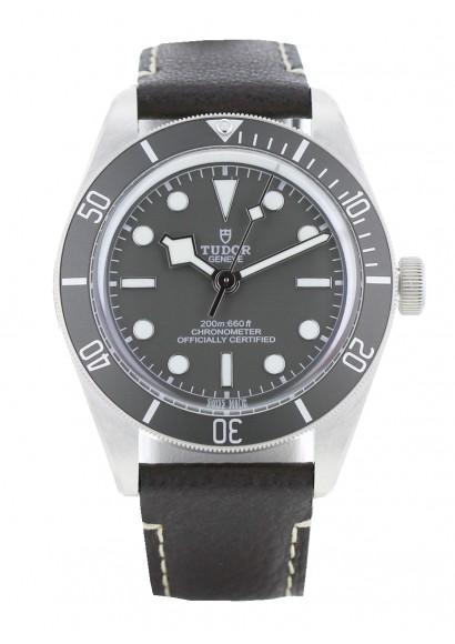 Tudor Black Bay 79010SG