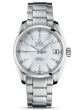  Seamaster Aqua Terra 231.10.39.21.55.001