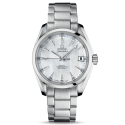  Seamaster Aqua Terra 231.10.39.21.55.001