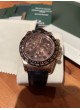  Daytona Oyster Perpetual 116515LN