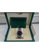 Rolex Oyster Perpetual 124300