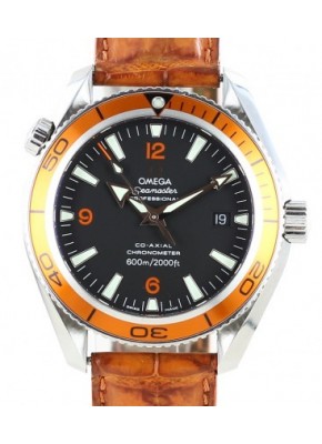  SeaMaster Planet Ocean 22095000