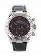 rolex-cosmograph-daytona-116519-racing