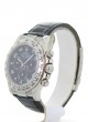 rolex-cosmograph-daytona-116519-racing